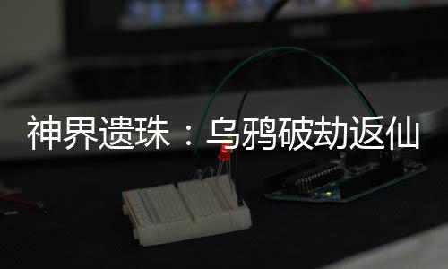 《嫁绝嗣长官，好孕作精在七零躺赢》全文在线阅读