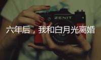 六年后，我和白月
