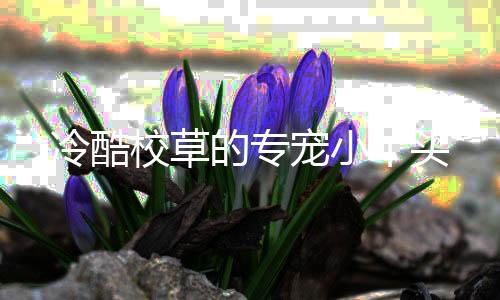 冷酷校草的专宠小丫头