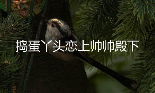 《全网黑后我在军旅综艺杀疯了》全文在线阅读