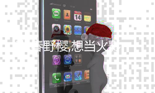 《替嫁随军第一晚，她就住进了医院》全文在线阅读