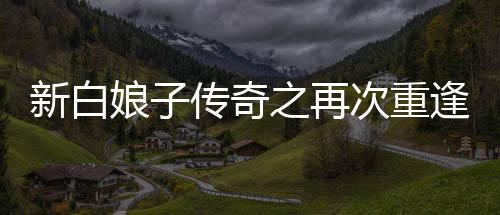 《穿书后，她在八十年代发家致富》全文在线阅读