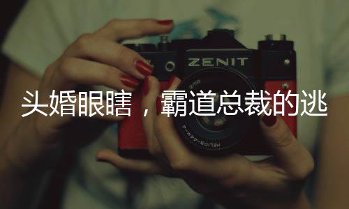 《惊！糙汉老公是年代文隐藏大佬》全文在线阅读