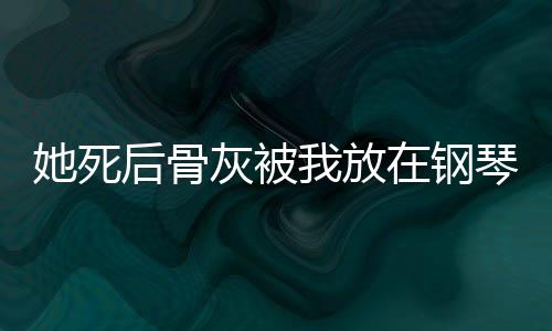 《席爷每天都想官宣》全文在线阅读