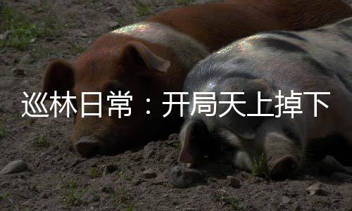 《穿书成恶毒女配，我创死霸总全家》全文在线阅读