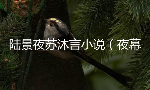 《80年代剽悍土著女》全文在线阅读