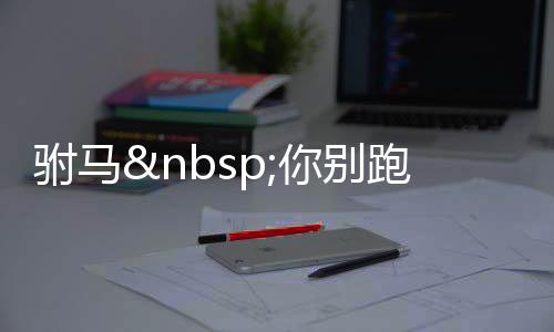 《替嫁随军第一晚，她就住进了医院》全文在线阅读
